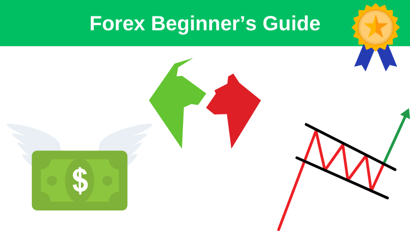 Forex Beginners Guide